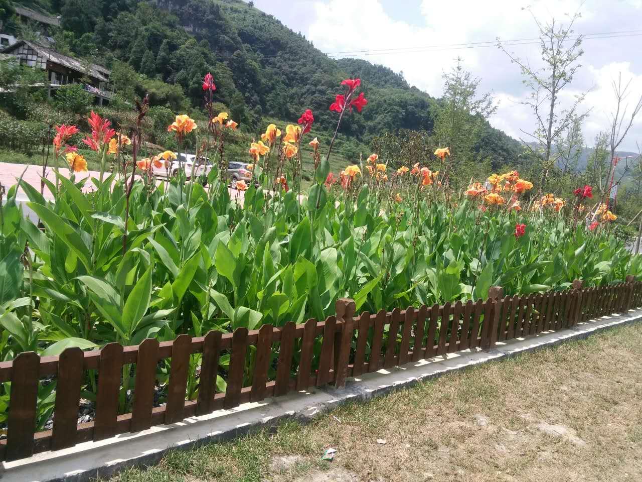 桥阳村